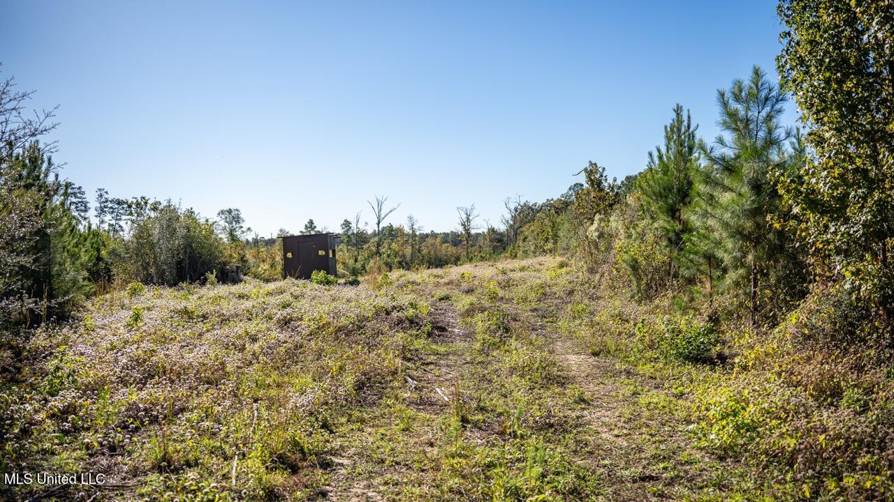 4058 Mcclain Road Property Photo 38