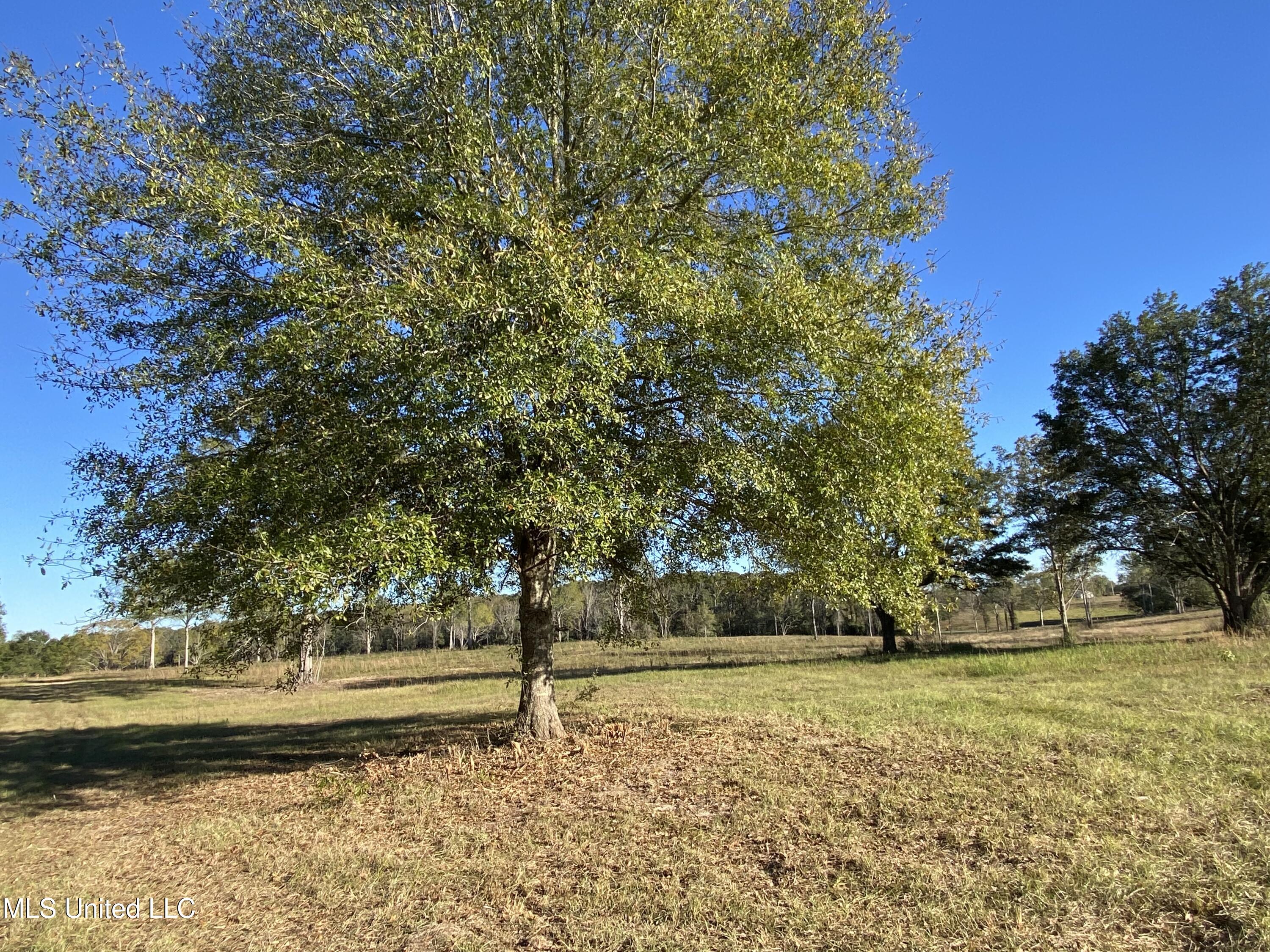 Carey Byrd Road Property Photo 1