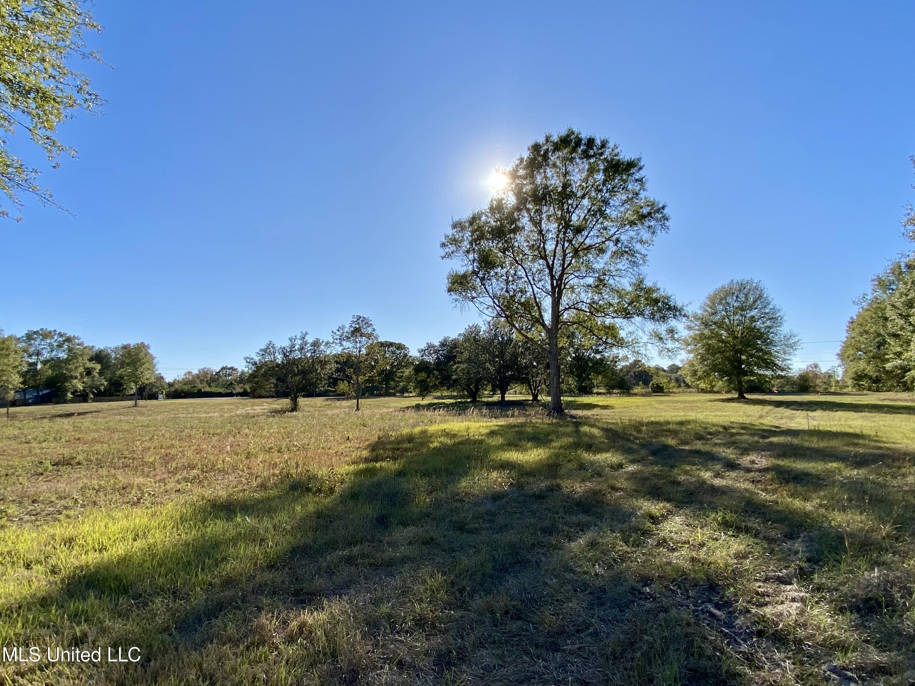 Carey Byrd Road Property Photo 3