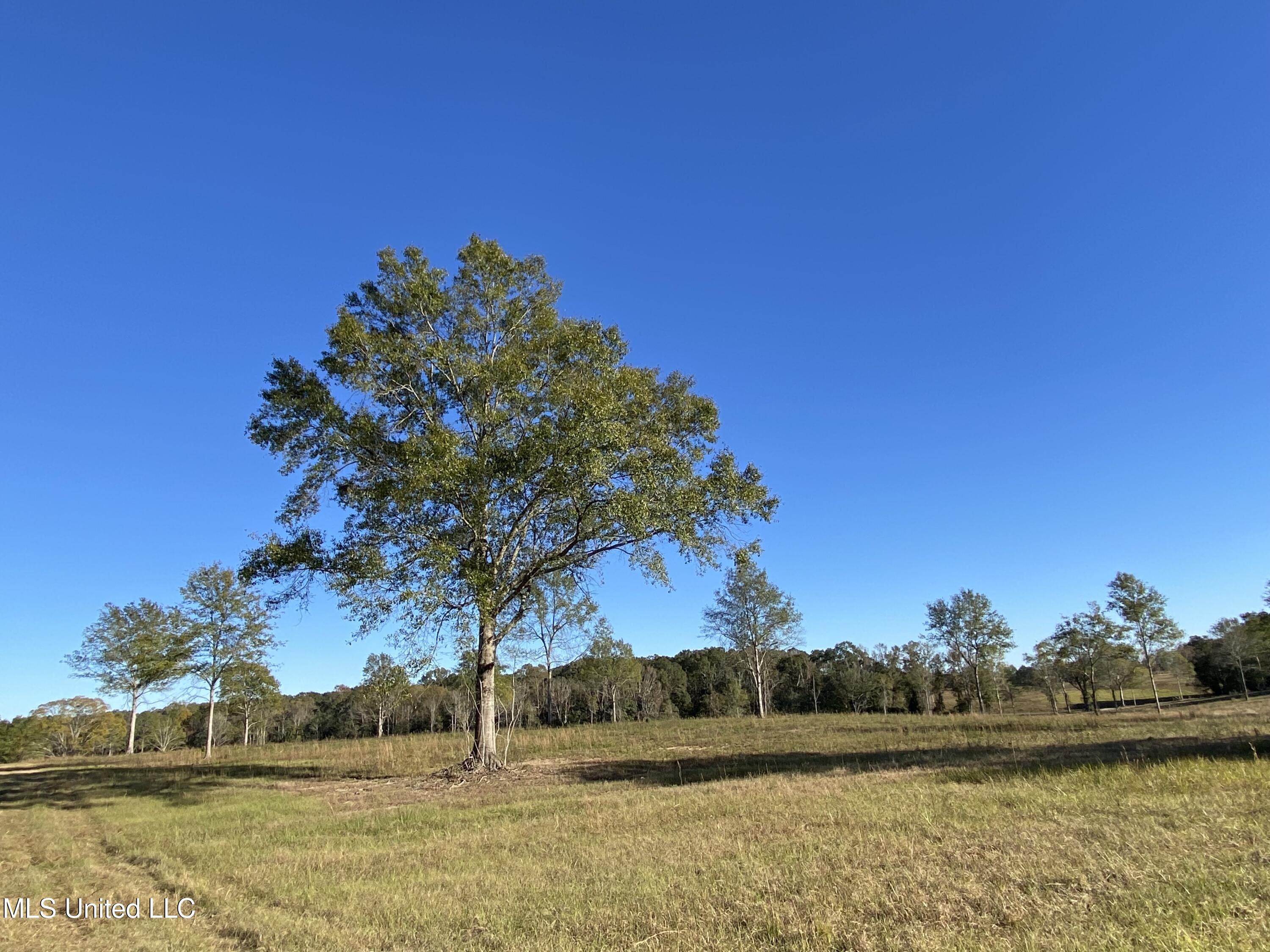 Carey Byrd Road Property Photo 4