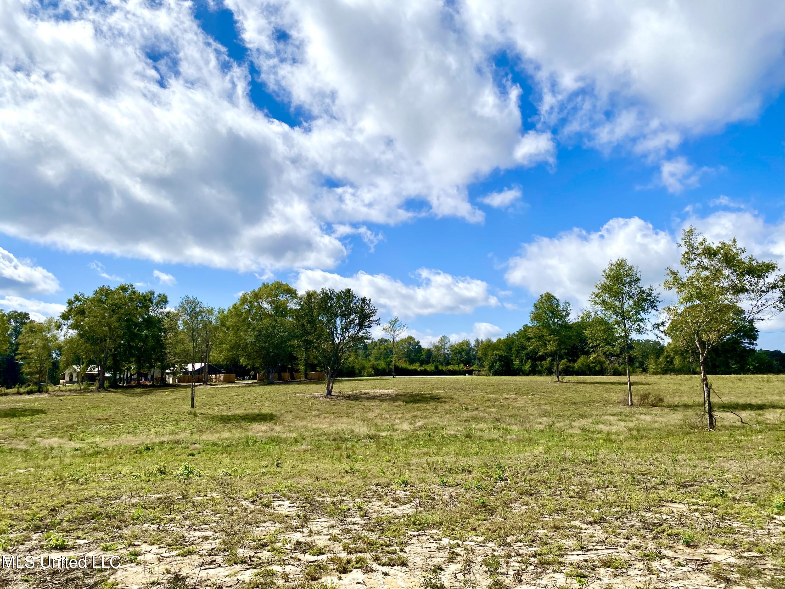Carey Byrd Road Property Photo 3