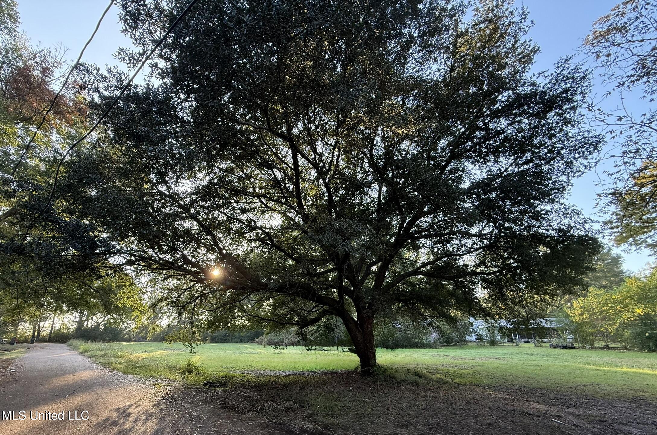 1242 Tisdale Street Property Photo 1