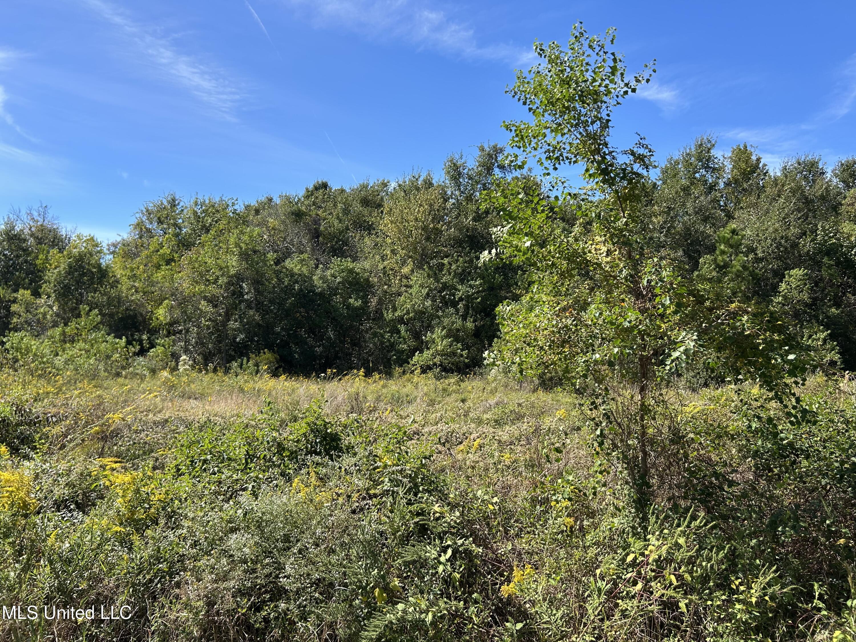 Lot 4 Hope Lane Property Photo 4