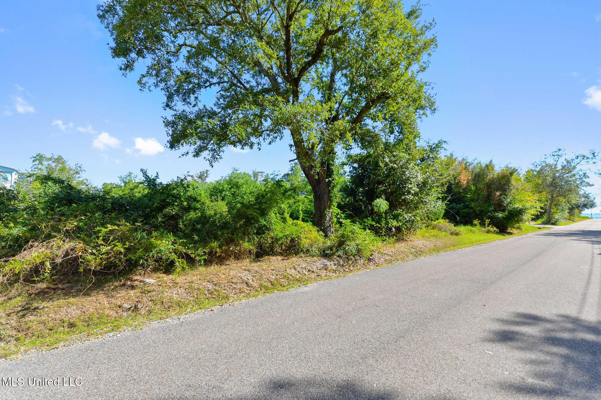 Chartres Street Property Photo 9