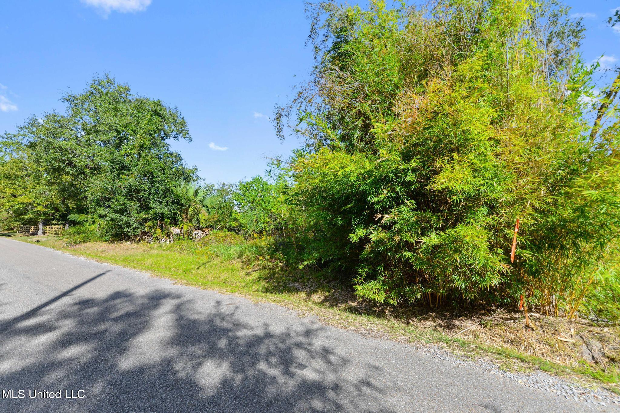Chartres Street Property Photo 10