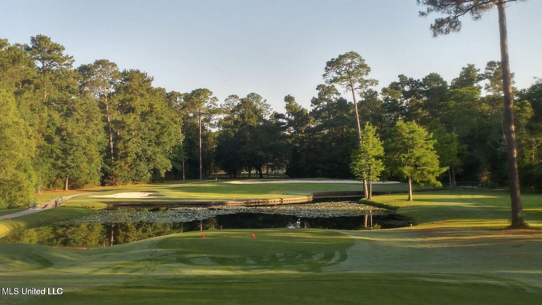 7426 Mahalo Hui Drive Property Photo 72
