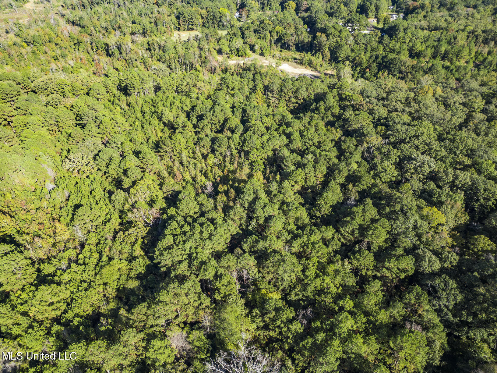 Cleary Road Property Photo 4