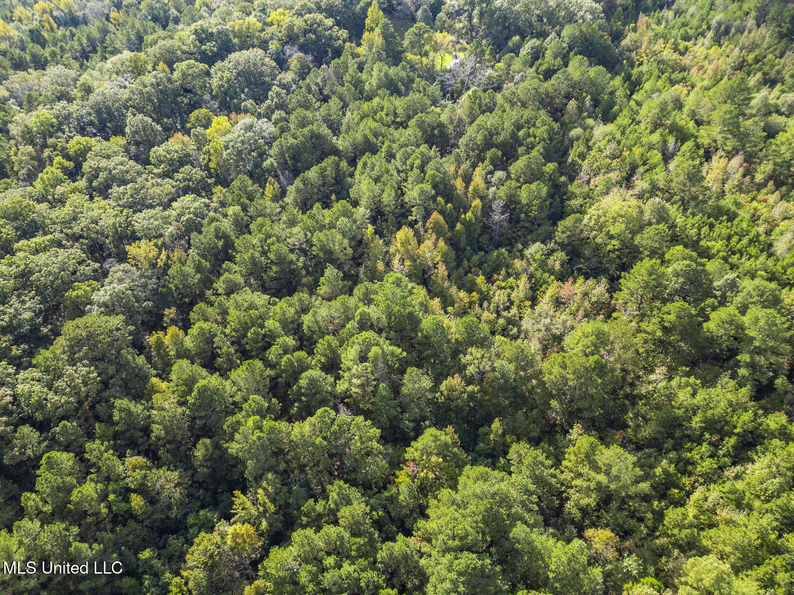 Cleary Road Property Photo 5