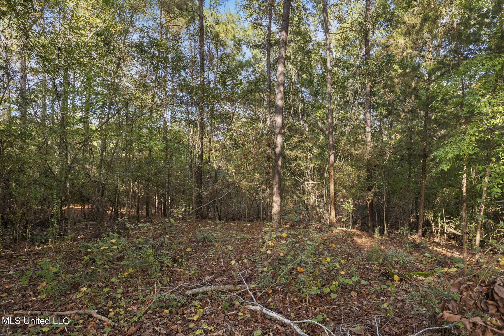 Cleary Road Property Photo 6