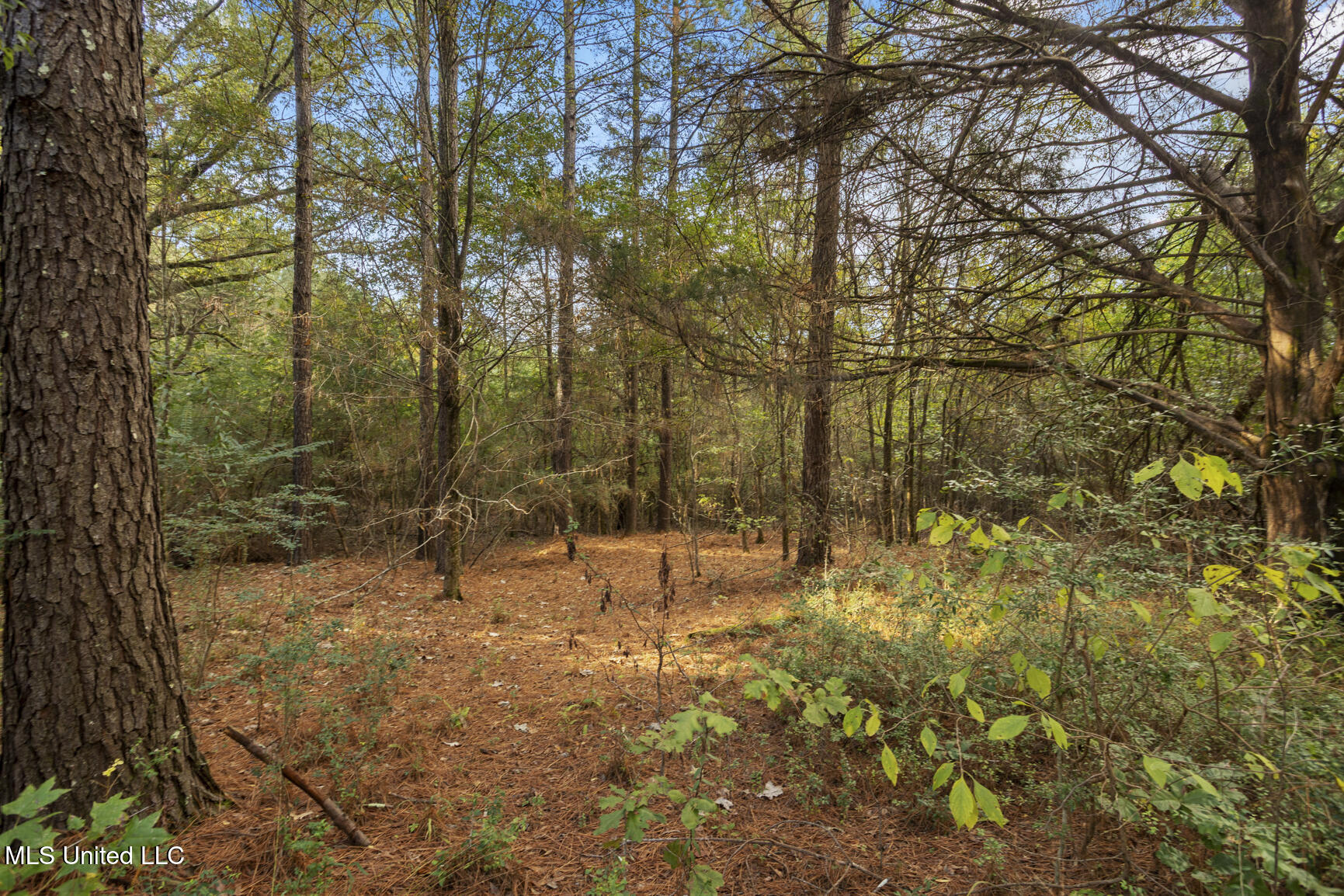 Cleary Road Property Photo 7