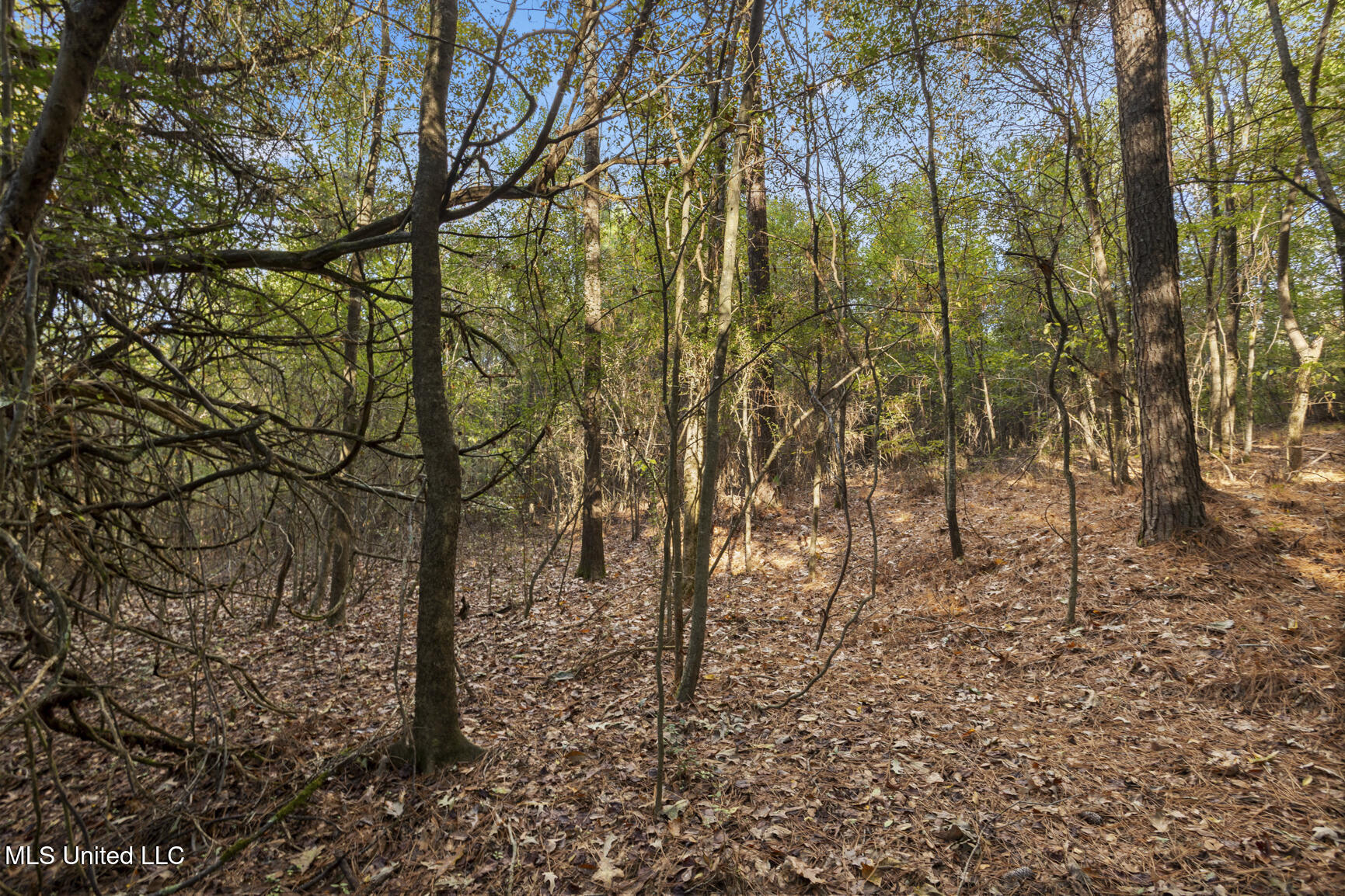 Cleary Road Property Photo 8