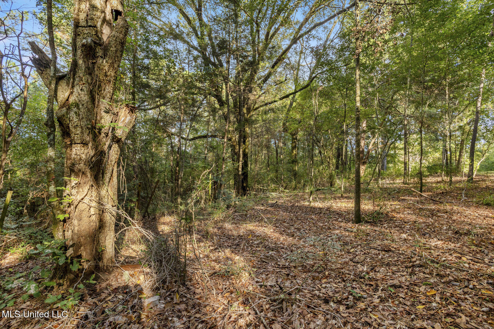 Cleary Road Property Photo 9