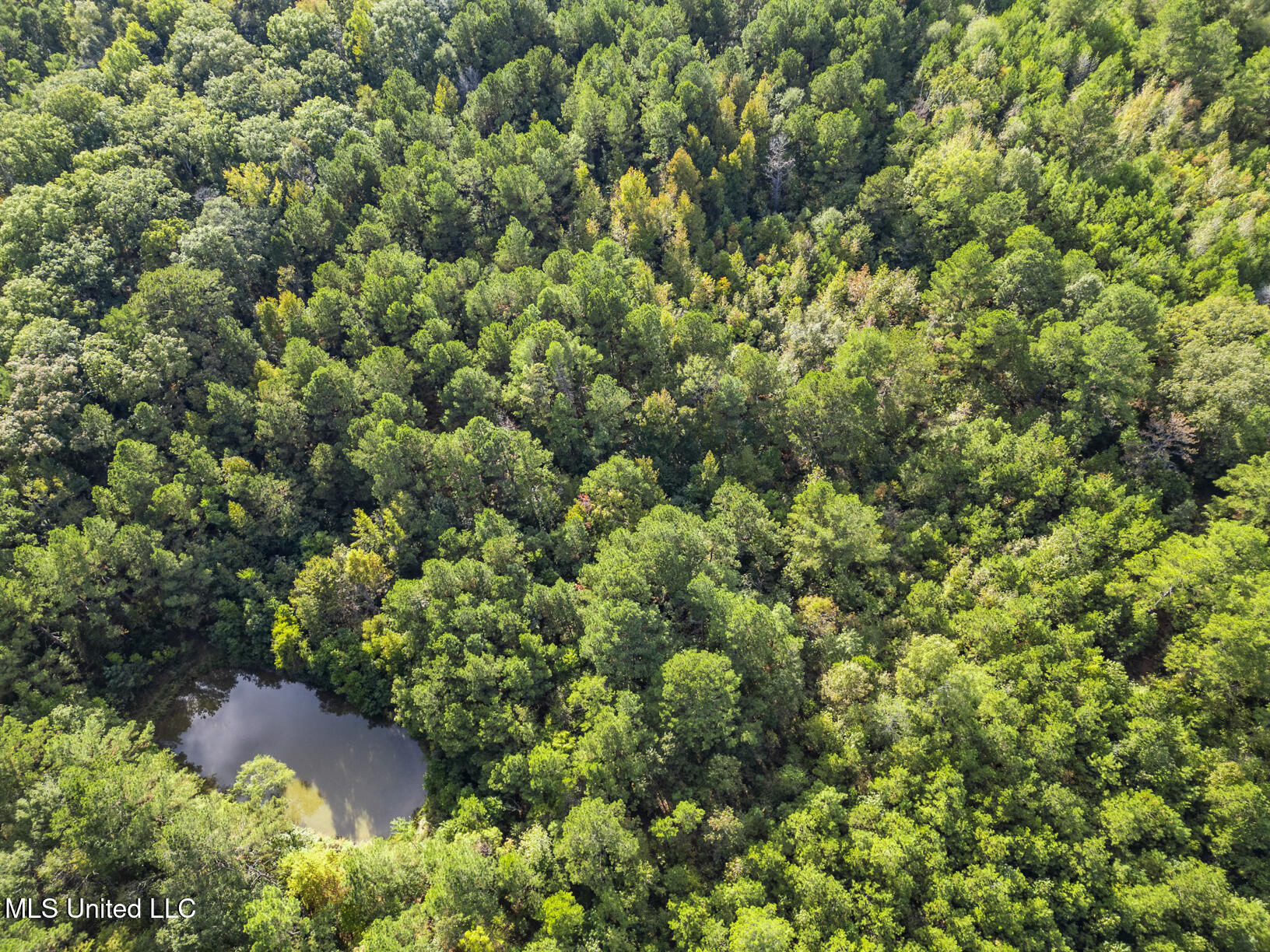 Cleary Road Property Photo 13