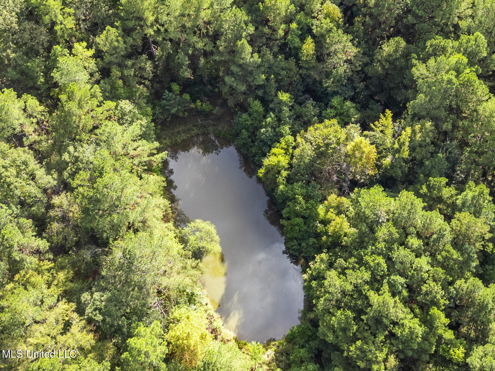 Cleary Road Property Photo 14