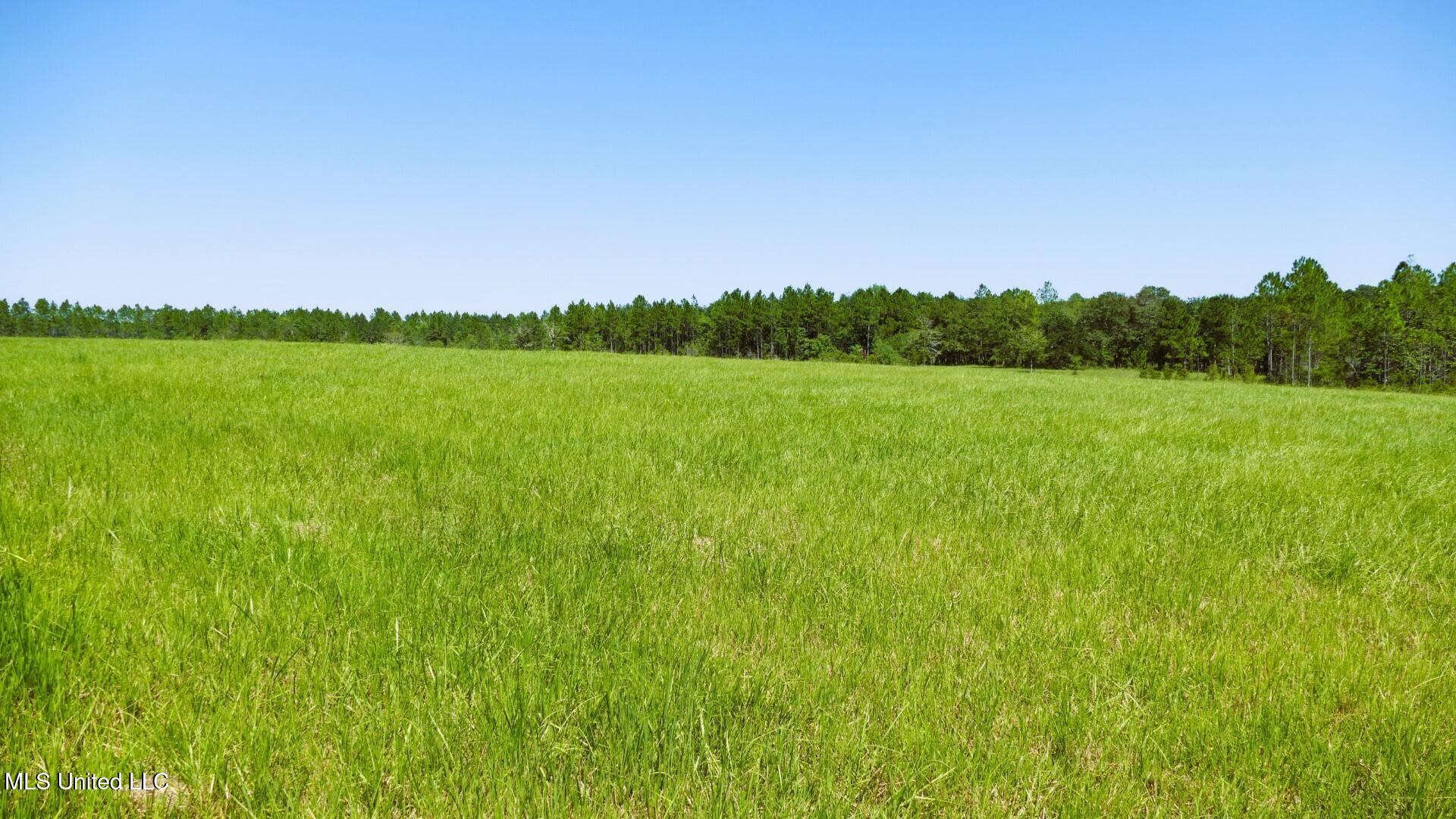 001 Humphrey Road Property Photo 4