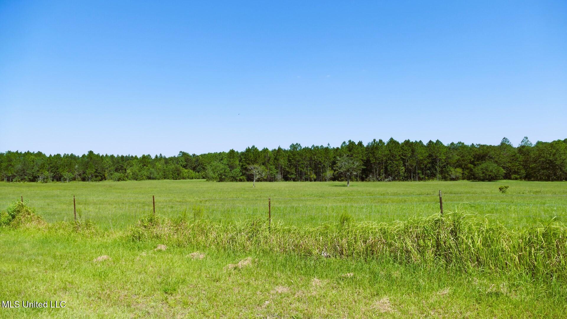 001 Humphrey Road Property Photo 5