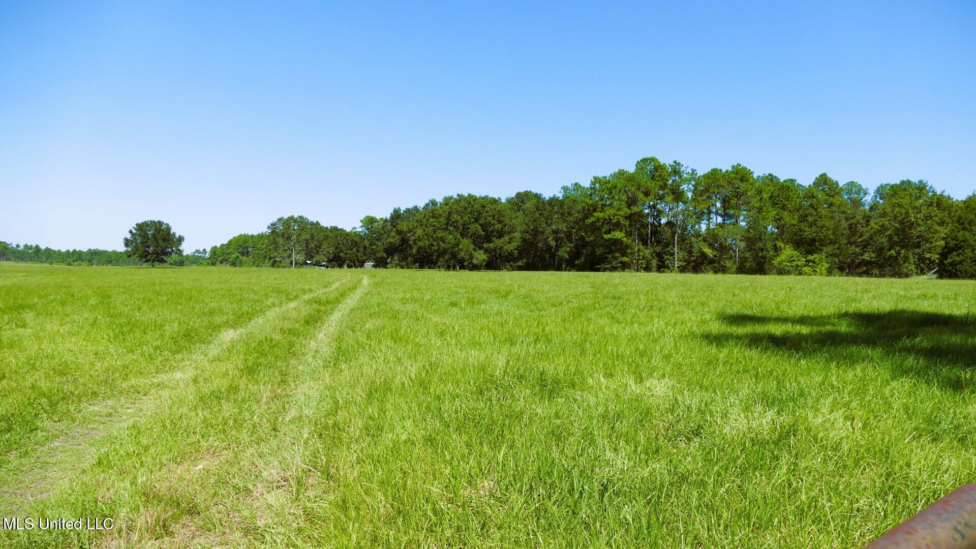 001 Humphrey Road Property Photo 10