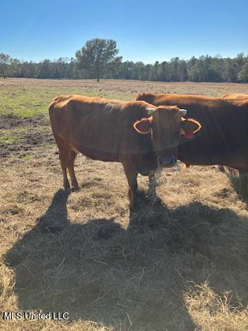 001 Humphrey Road Property Photo 20