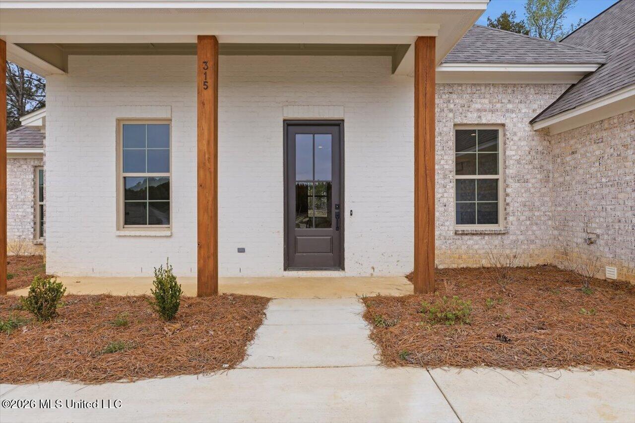 315 Jasmine Cove Lane Property Photo 3