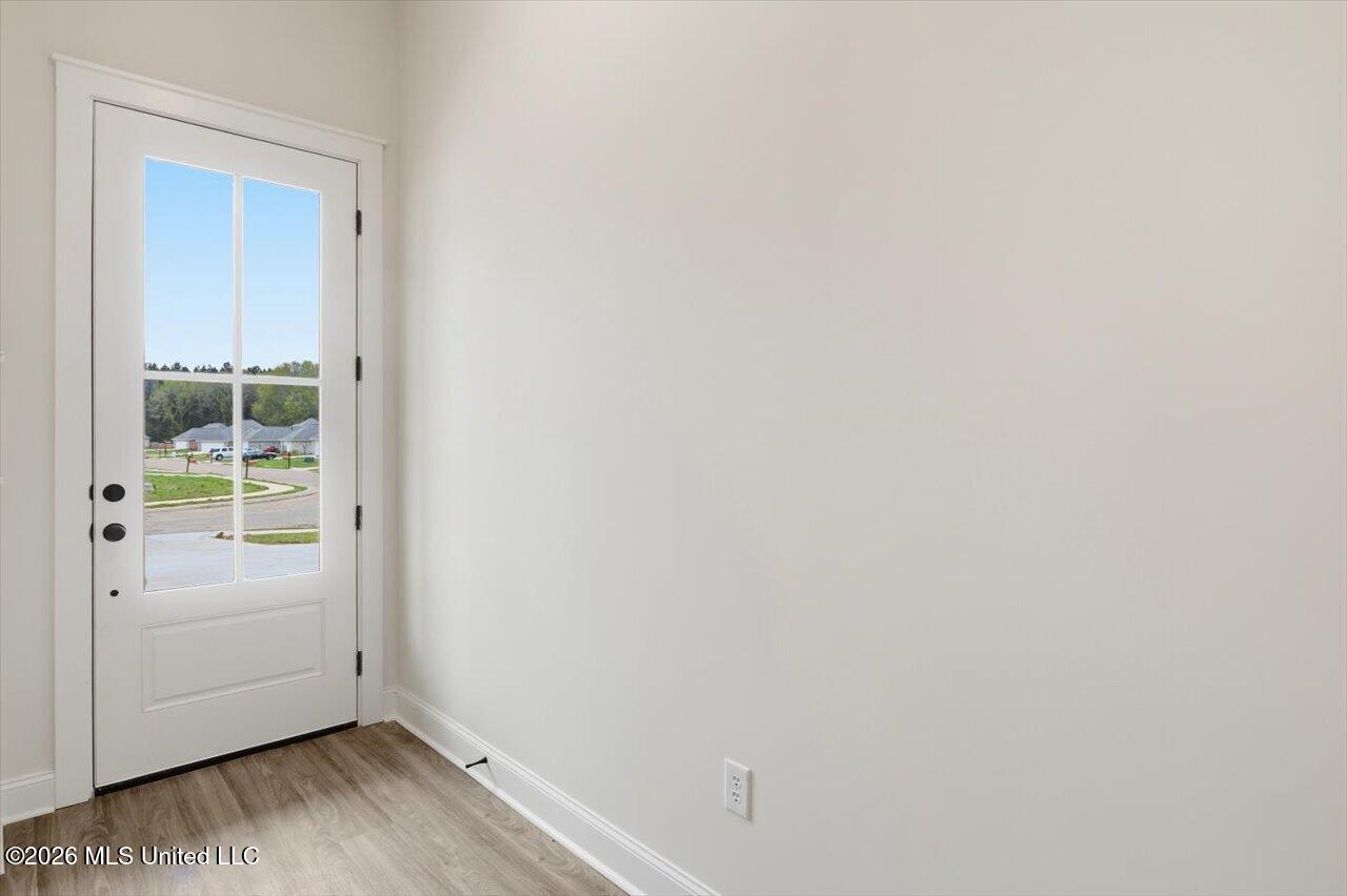 315 Jasmine Cove Lane Property Photo 4