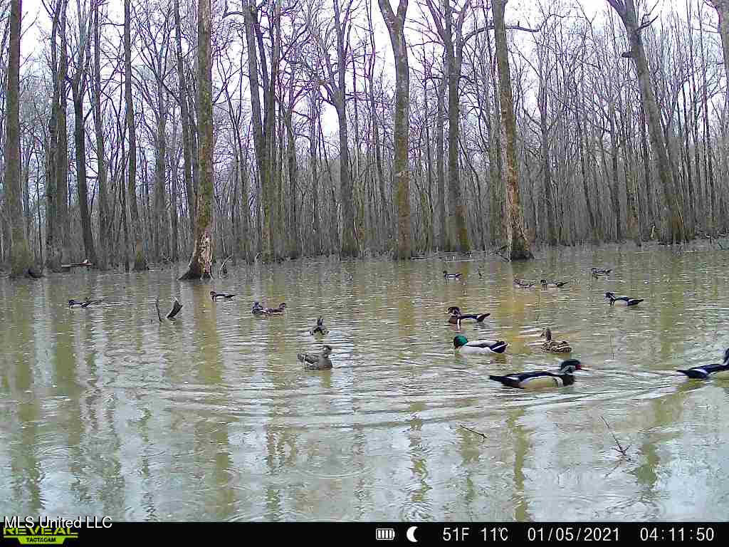 Gun Baoyu Road Property Photo 1