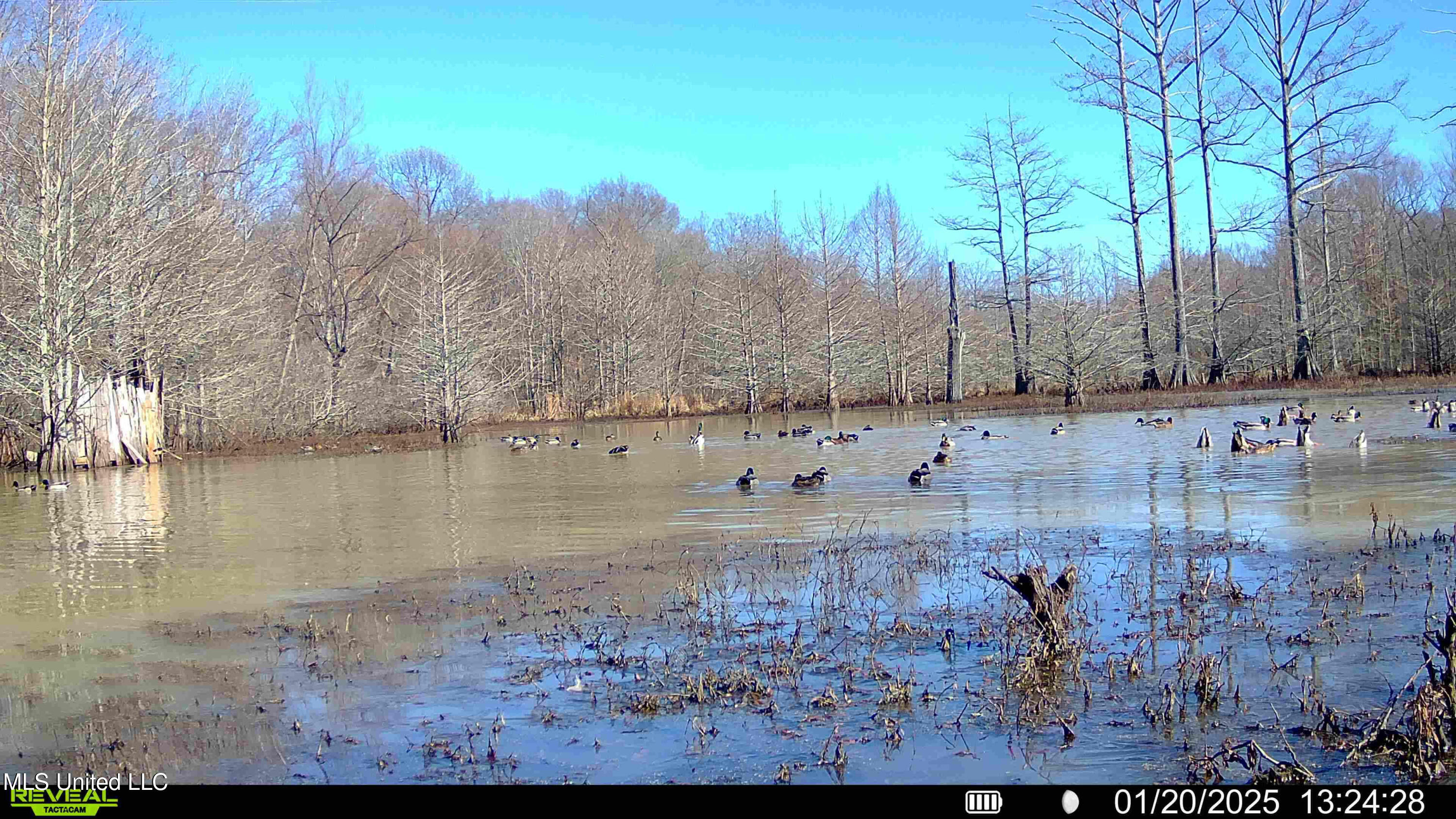 Gun Baoyu Road Property Photo 2