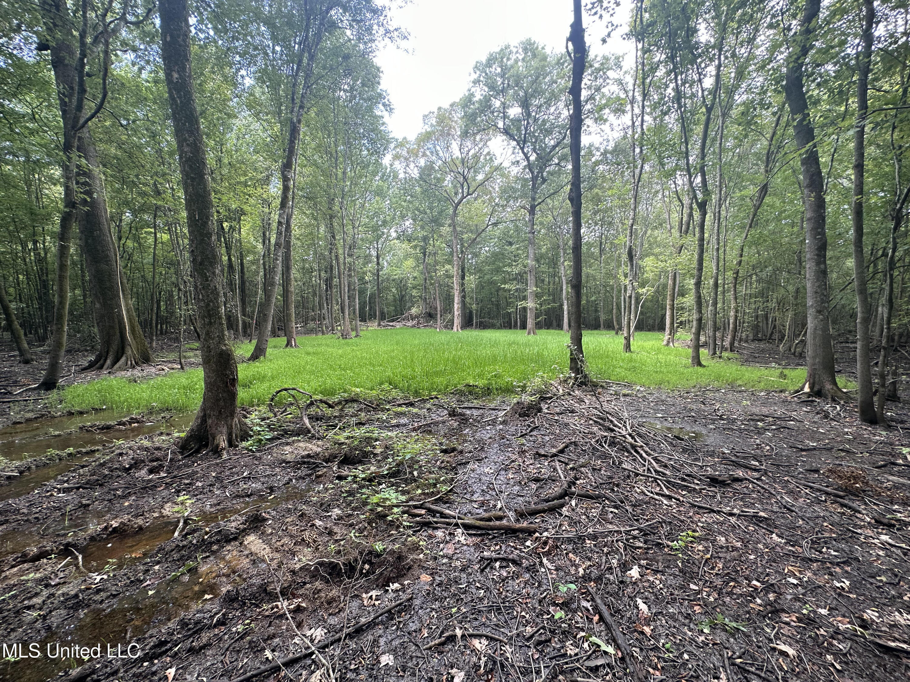 Gun Baoyu Road Property Photo 3