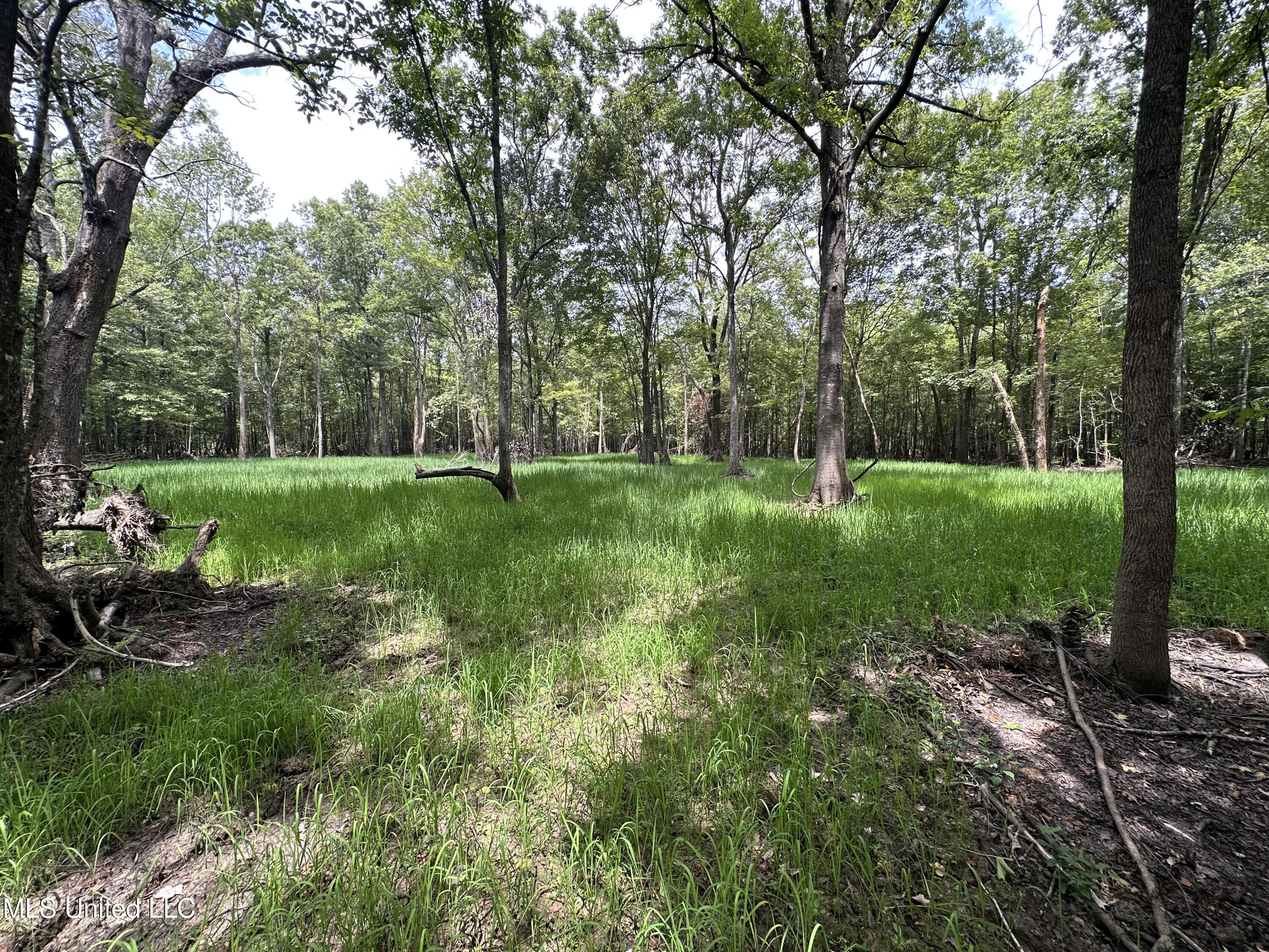 Gun Baoyu Road Property Photo 4