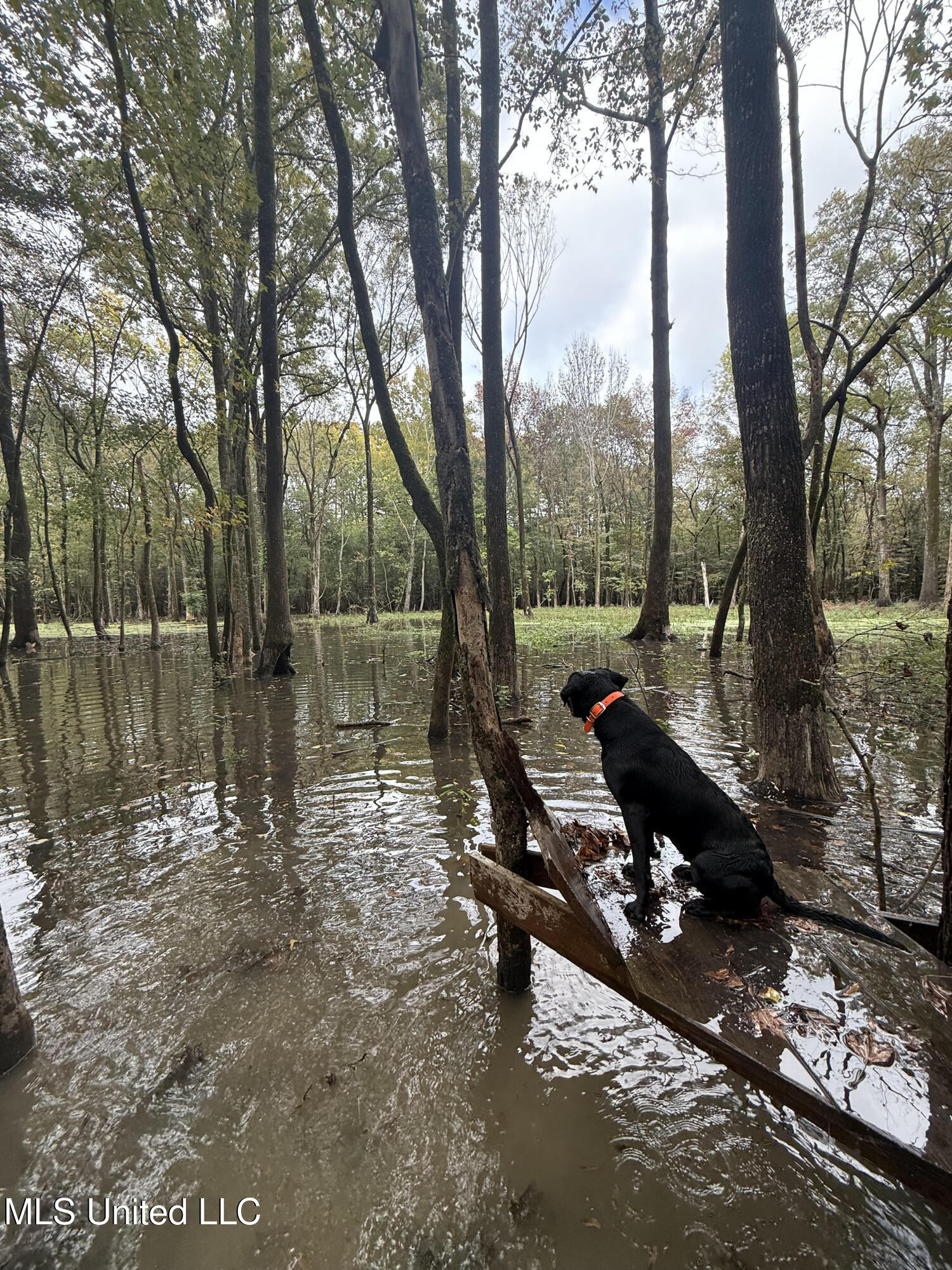 Gun Baoyu Road Property Photo 5