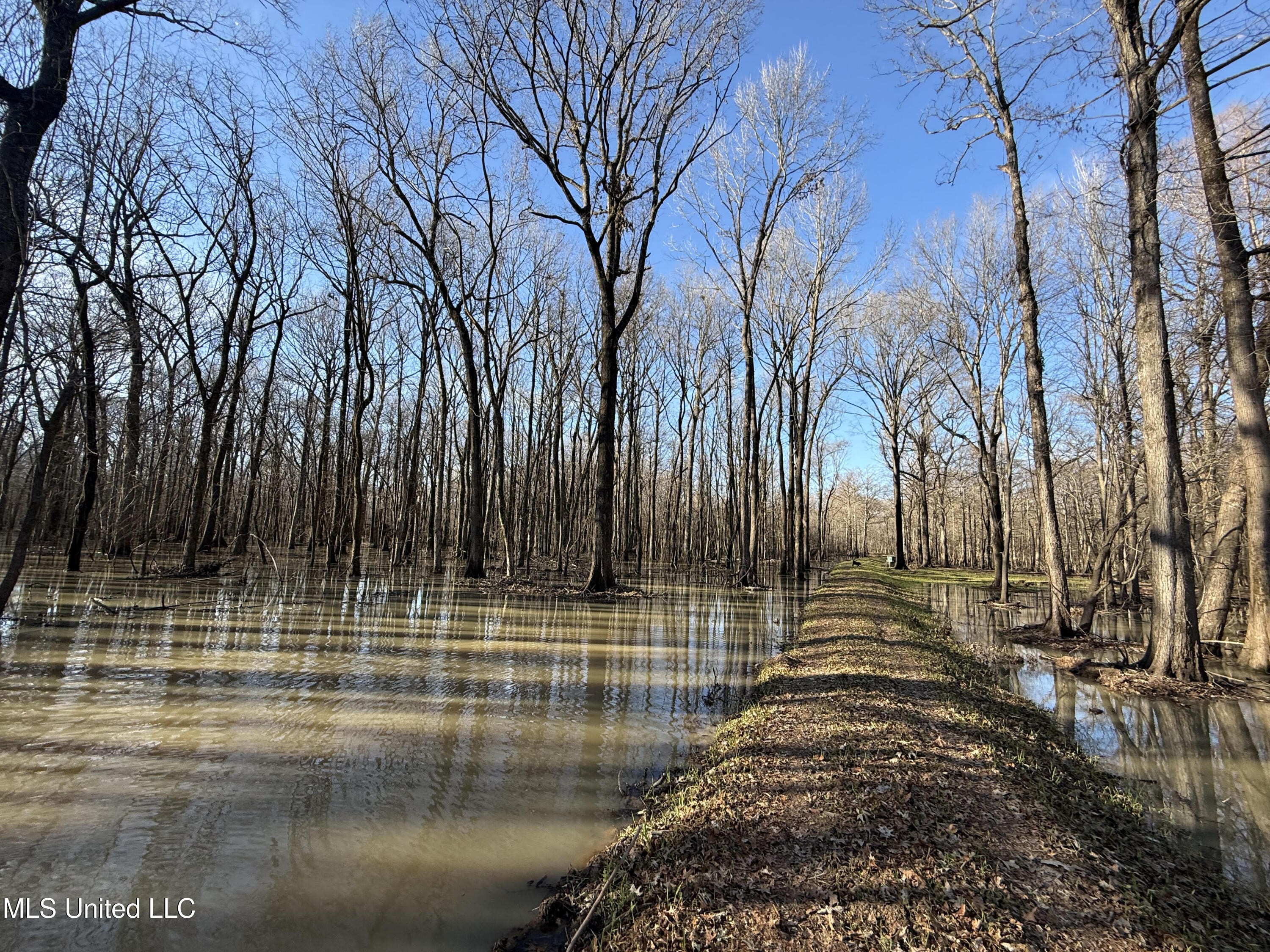 Gun Baoyu Road Property Photo 6