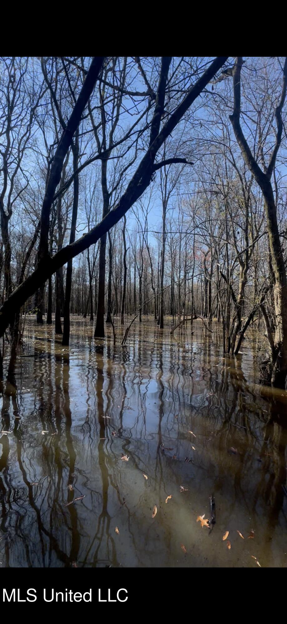 Gun Baoyu Road Property Photo 7