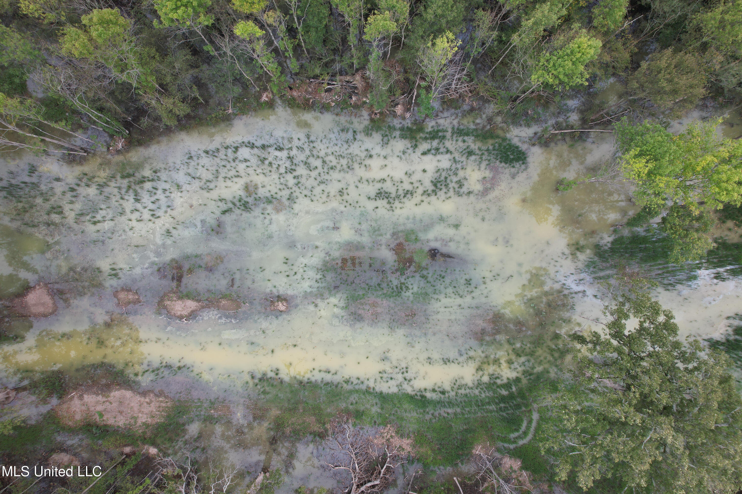 Gun Baoyu Road Property Photo 8