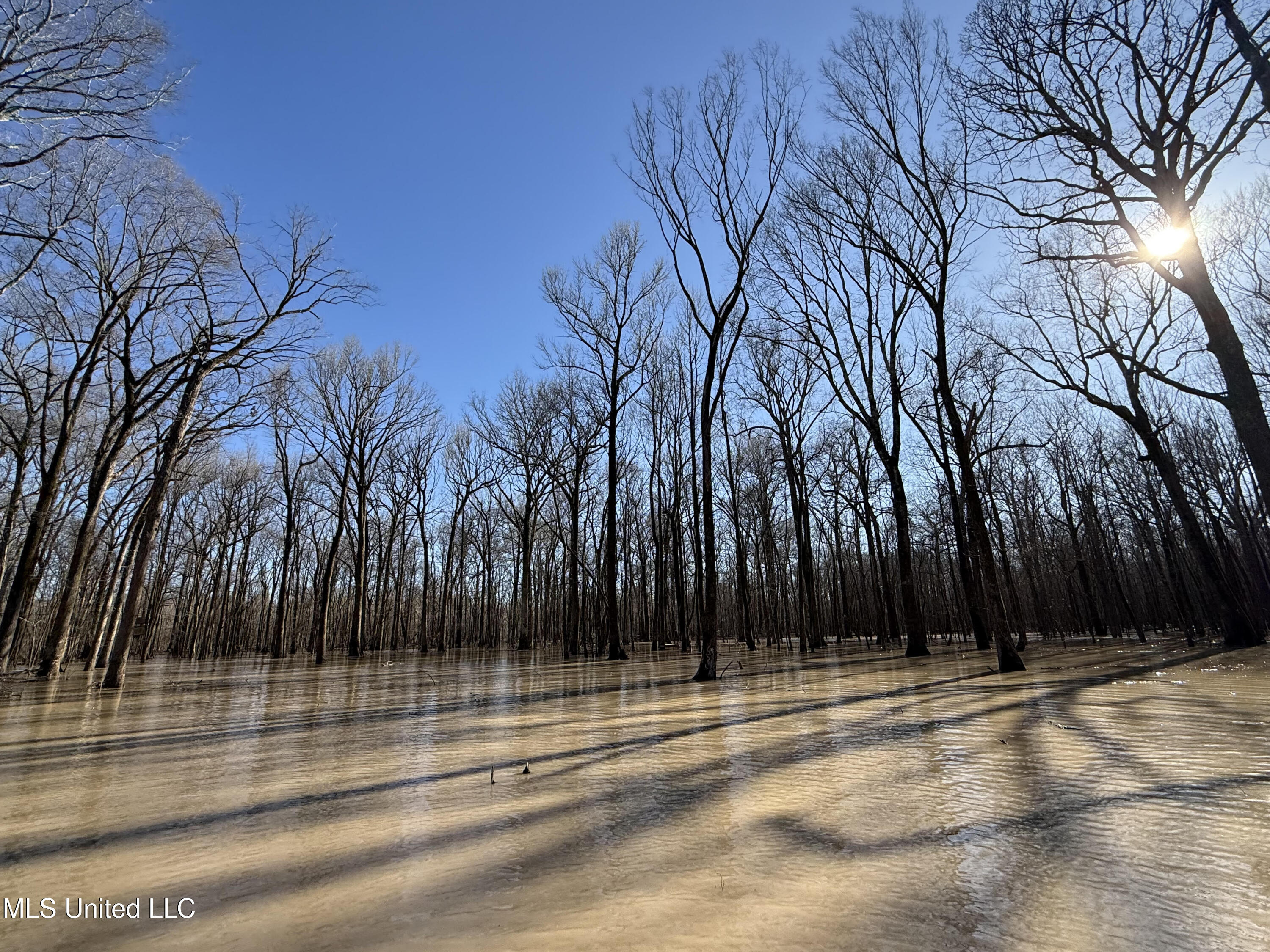 Gun Baoyu Road Property Photo 10
