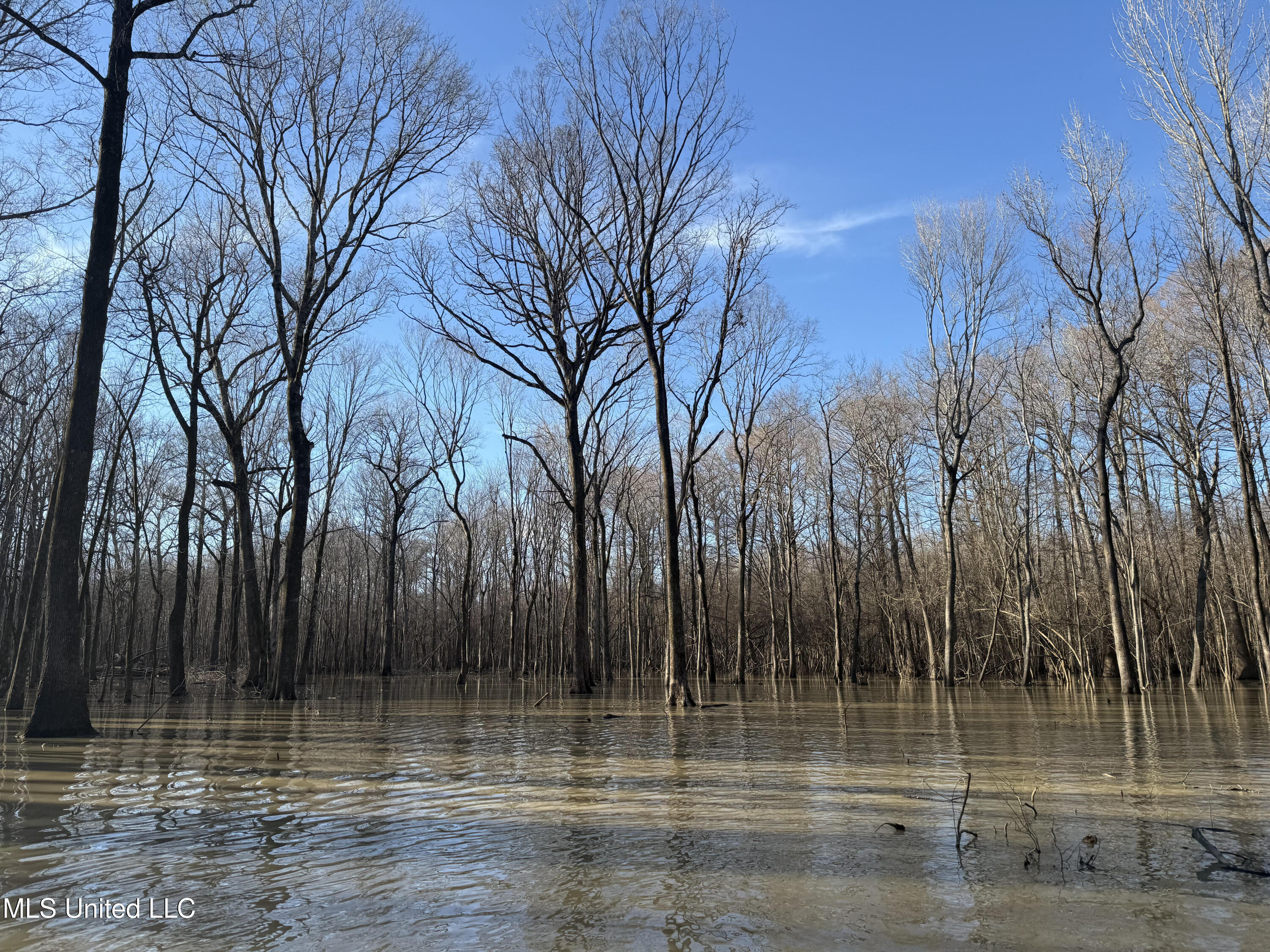 Gun Baoyu Road Property Photo 12