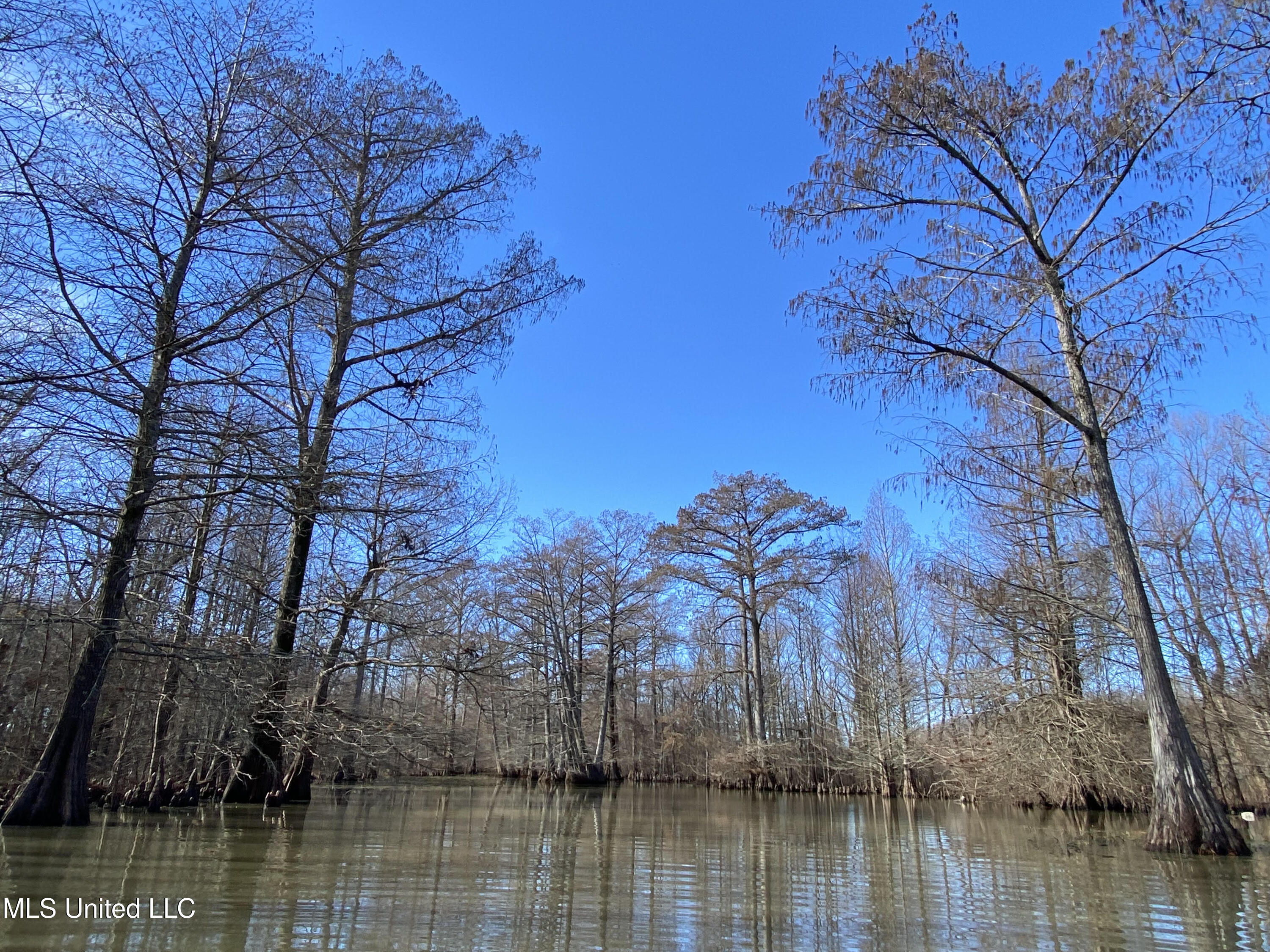 Gun Baoyu Road Property Photo 14
