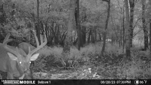 Gun Baoyu Road Property Photo 16