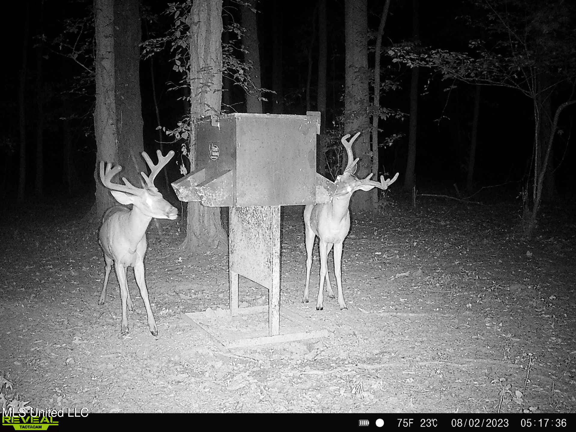 Gun Baoyu Road Property Photo 17