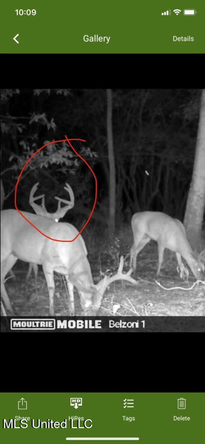 Gun Baoyu Road Property Photo 20