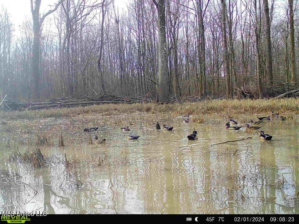 Gun Baoyu Road Property Photo 21