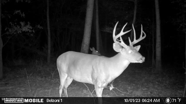 Gun Baoyu Road Property Photo 22