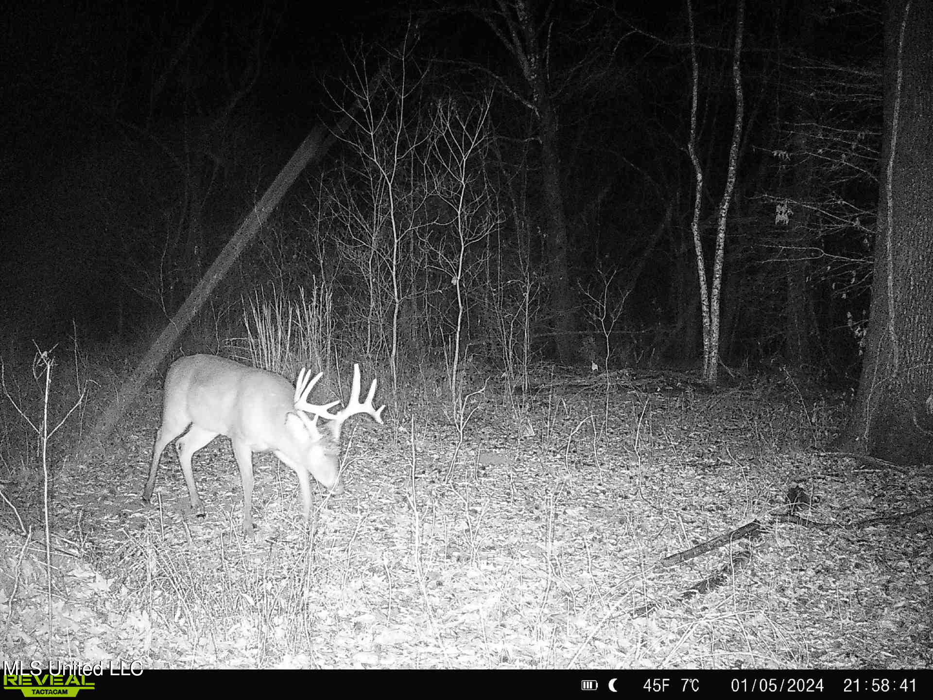 Gun Baoyu Road Property Photo 23