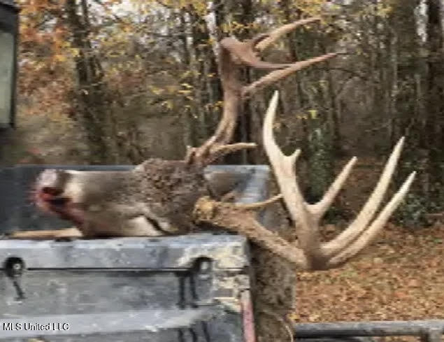 Gun Baoyu Road Property Photo 25