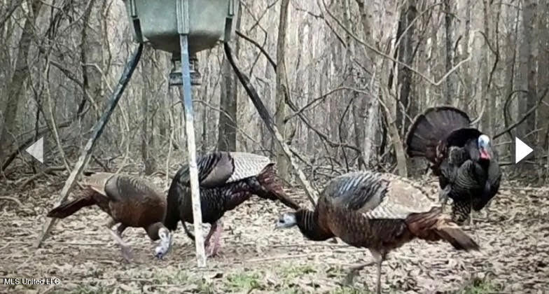 Gun Baoyu Road Property Photo 26