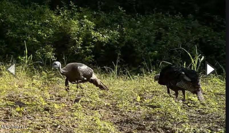 Gun Baoyu Road Property Photo 27