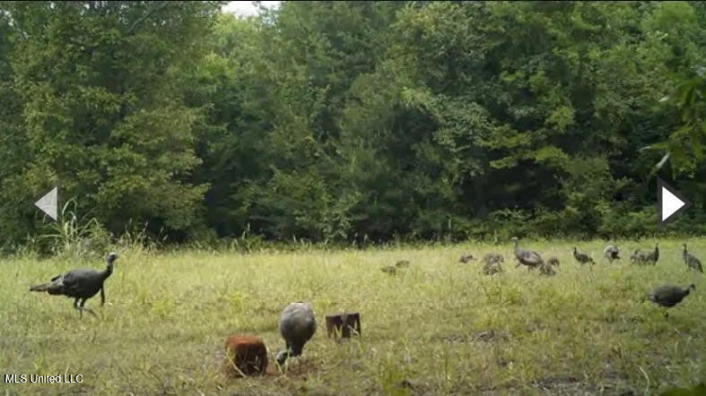 Gun Baoyu Road Property Photo 28