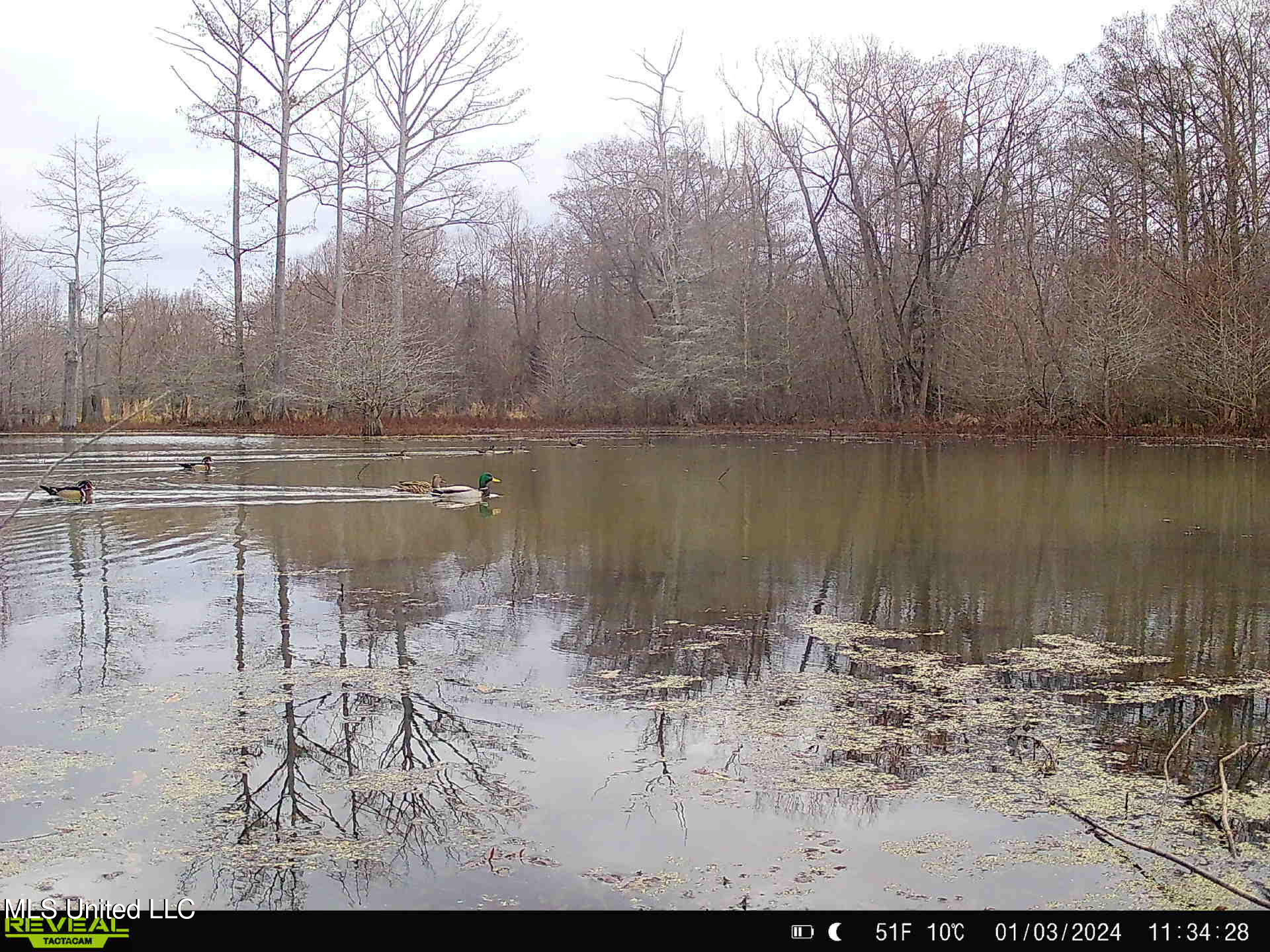 Gun Baoyu Road Property Photo 30