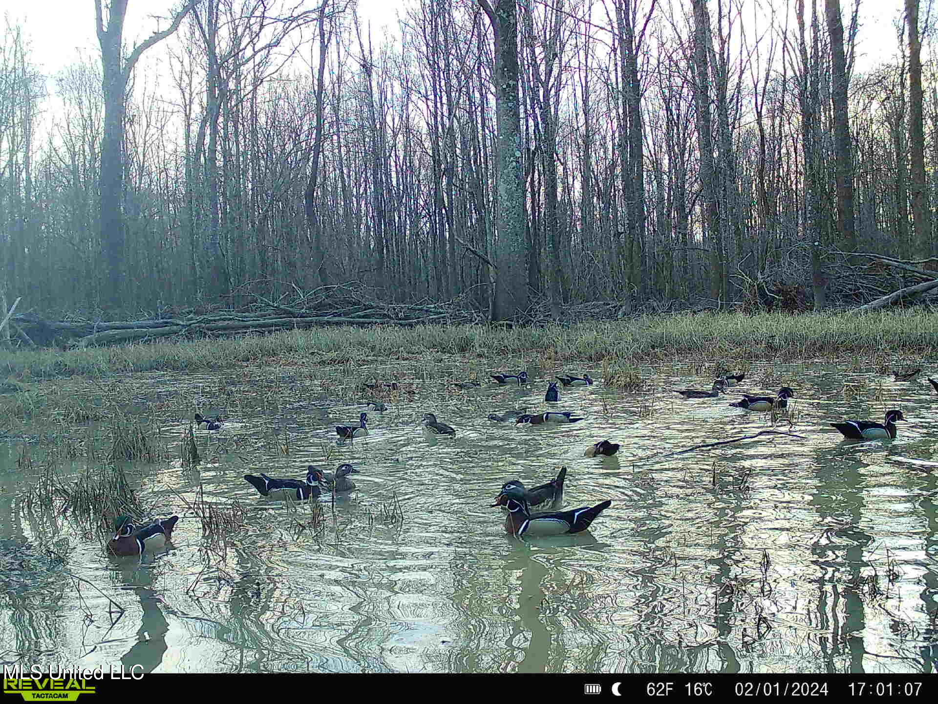 Gun Baoyu Road Property Photo 31