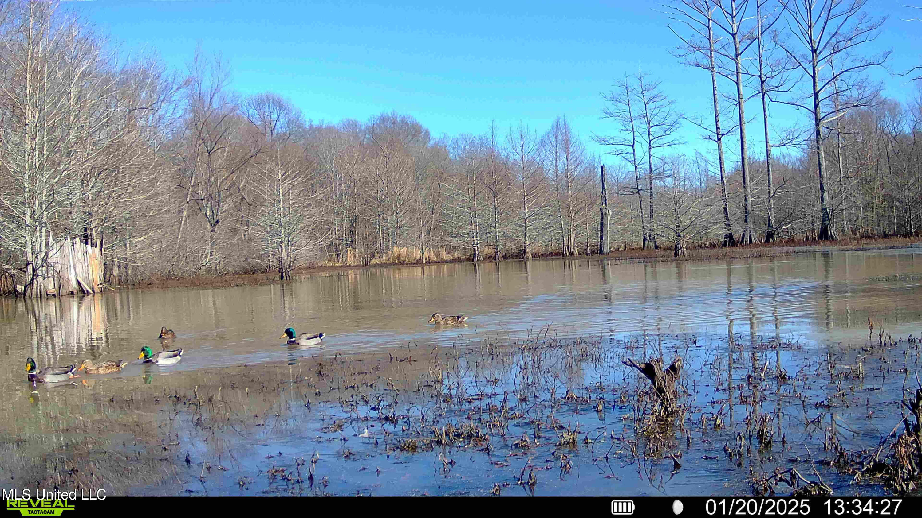 Gun Baoyu Road Property Photo 33