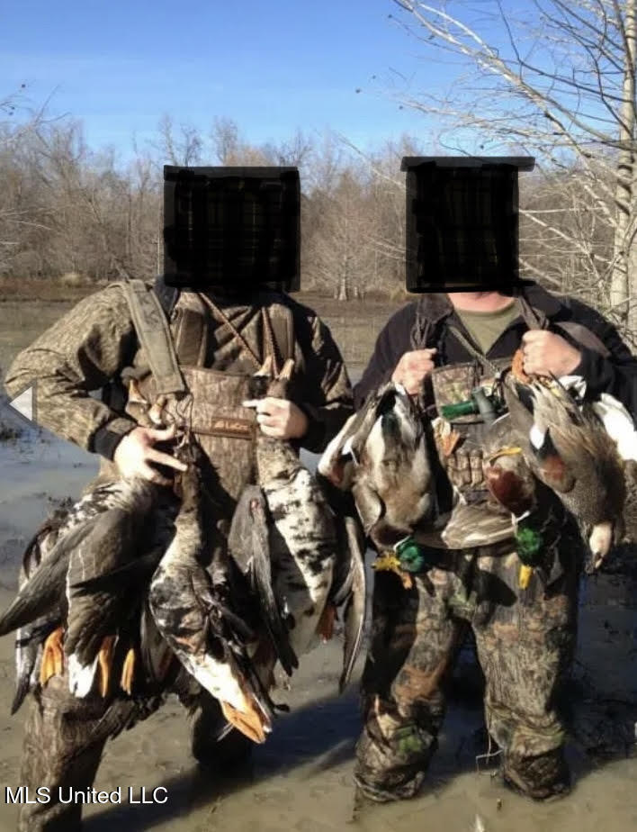 Gun Baoyu Road Property Photo 34