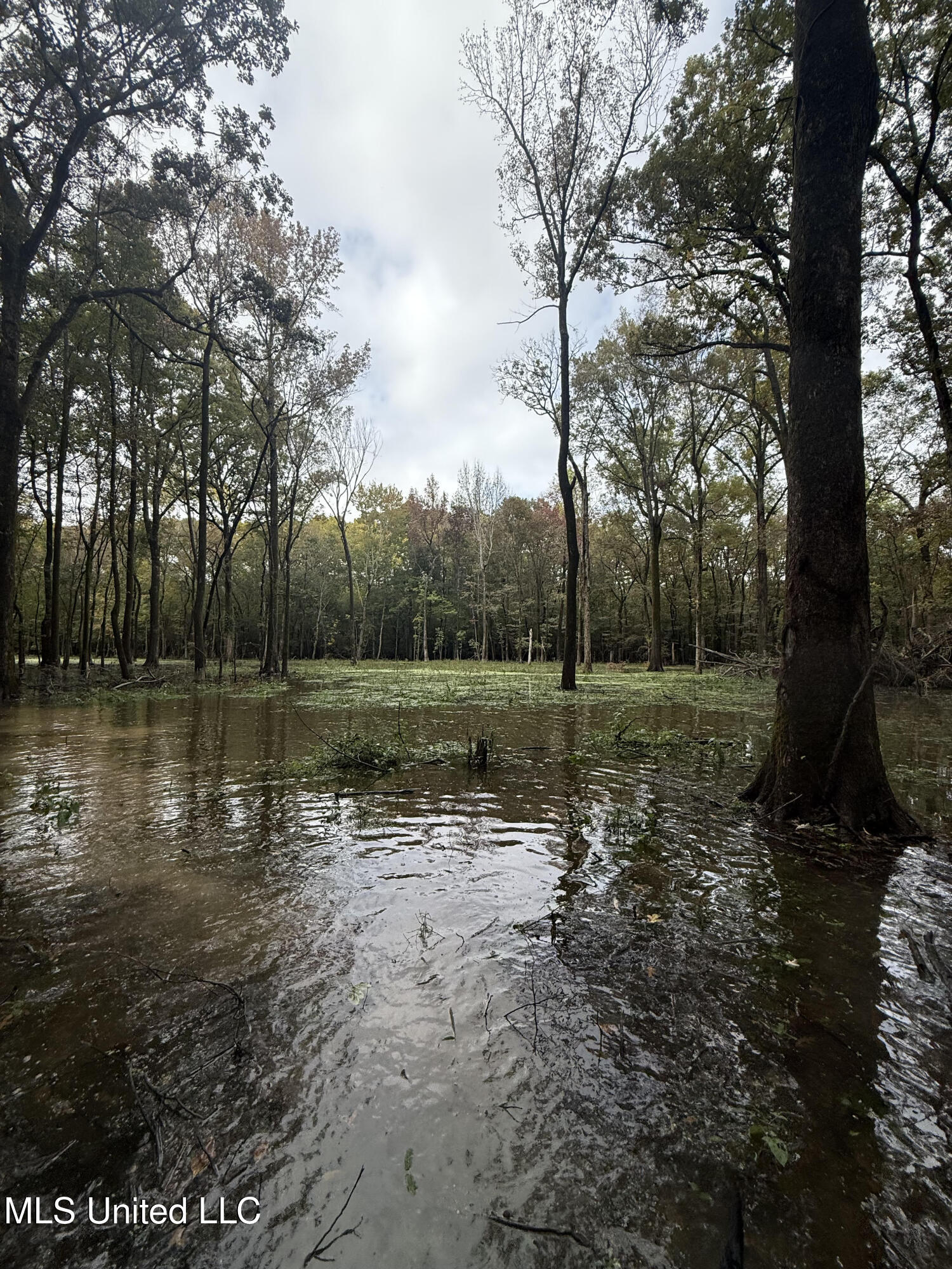 Gun Baoyu Road Property Photo 35